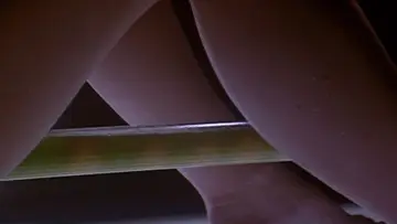 Backdrop to the movie "Inseminoid" #1104788
