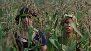 Backdrop to the movie "Daisies" #988107
