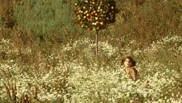 Backdrop to the movie "Daisies" #988132