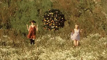 Backdrop to the movie "Daisies" #988133