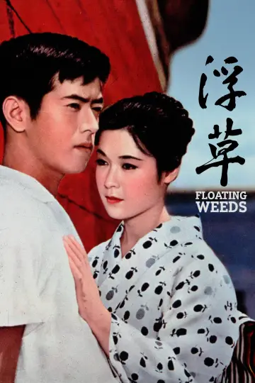 Poster to the movie "Floating Weeds" #1085609