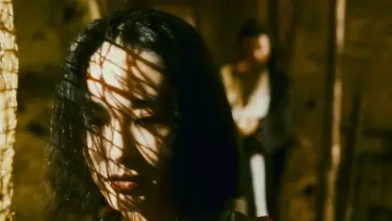 Backdrop to the movie "Ashes of Time" #1182089