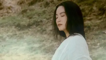 Backdrop to the movie "Ashes of Time" #731515