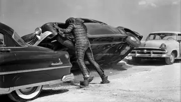 Backdrop to the movie "Revenge of the Creature" #387081