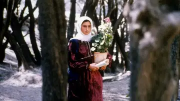 Backdrop to the movie "Through the Olive Trees" #457598