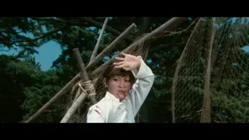 Backdrop to the movie "Sister Street Fighter" #1622829