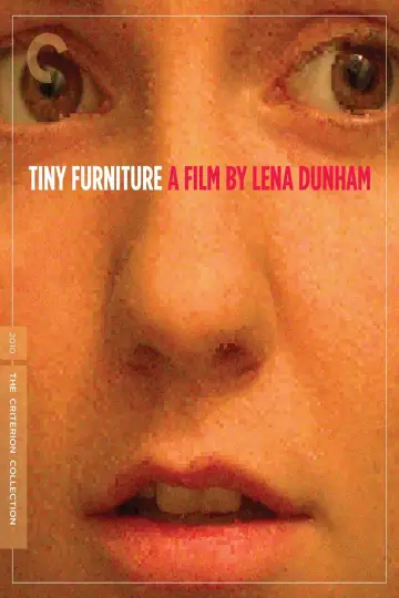 Poster to the movie "Tiny Furniture" #684914