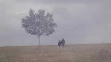 Backdrop to the movie "Landscape in the Mist" #1102139