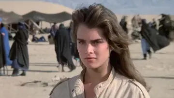 Backdrop to the movie "Sahara" #700766