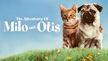 Backdrop to the movie "The Adventures of Milo and Otis" #1048337