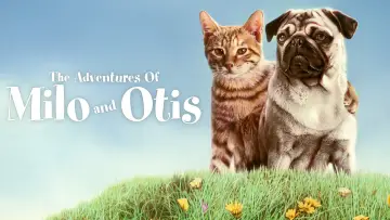 Backdrop to the movie "The Adventures of Milo and Otis" #1048339