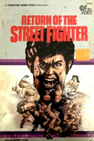 Poster to the movie "Return of the Street Fighter" #1093397