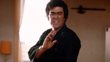 Backdrop to the movie "Return of the Street Fighter" #451323