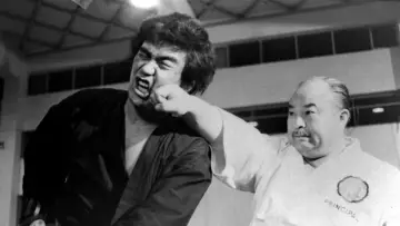 Backdrop to the movie "The Street Fighter" #1046321