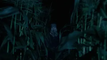 Backdrop to the movie "The Town That Dreaded Sundown" #1028468