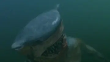 Backdrop to the movie "Hammerhead" #678044