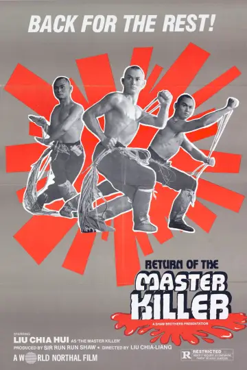 Poster to the movie "Return to the 36th Chamber" #938968