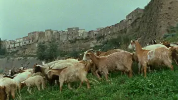 Backdrop to the movie "The Gift" #832964