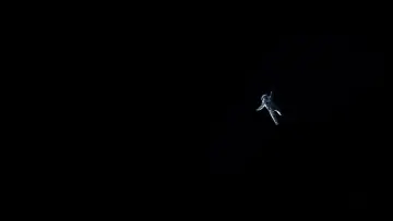 Backdrop to the movie "Gravity" #631313