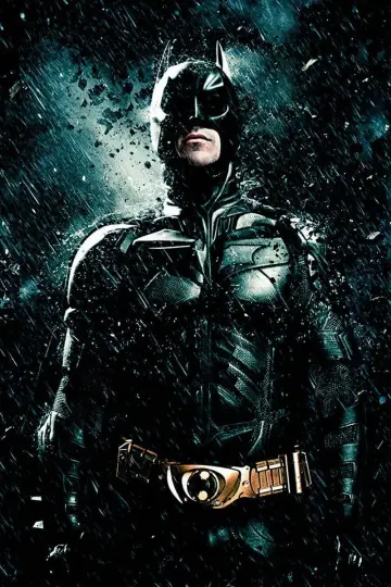 Poster to the movie "The Dark Knight Rises" #911706