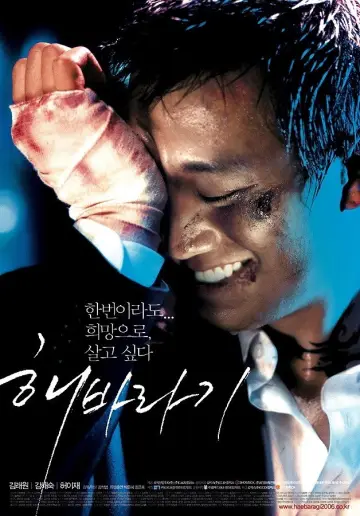 Poster to the movie "Sunflower" #922755