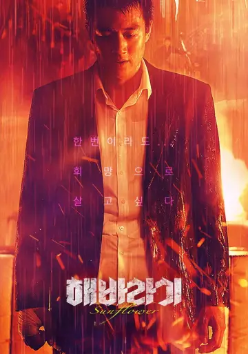 Poster to the movie "Sunflower" #922757