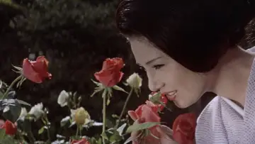 Backdrop to the movie "Flower & Snake" #951219
