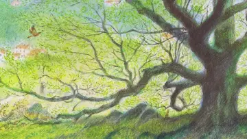 Backdrop to the movie "The Man Who Planted Trees" #1170240
