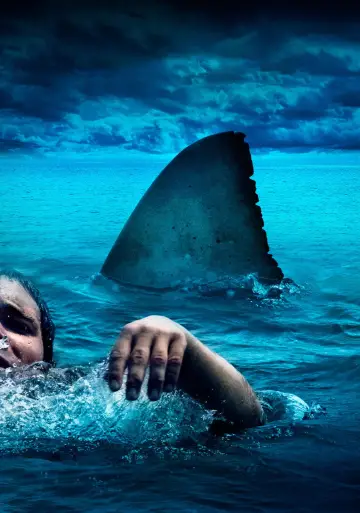 Poster to the movie "The Reef" #1022323