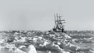 Backdrop to the movie "South" #965799