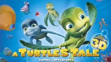 Backdrop to the movie "A Turtle