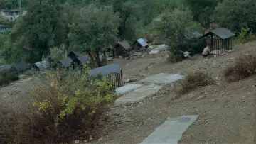 Backdrop to the movie "Where Is The Friend