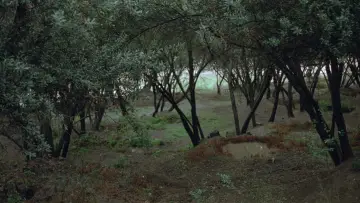 Backdrop to the movie "Where Is The Friend