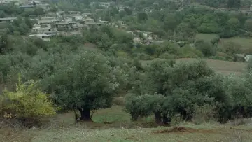 Backdrop to the movie "Where Is The Friend