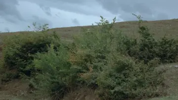 Backdrop to the movie "Where Is The Friend
