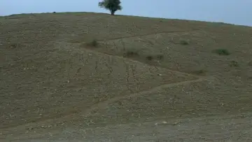 Backdrop to the movie "Where Is The Friend