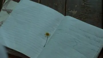 Backdrop to the movie "Where Is The Friend