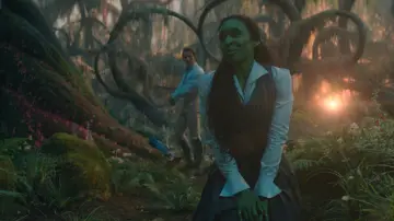 Backdrop to the movie "Wicked" #529745