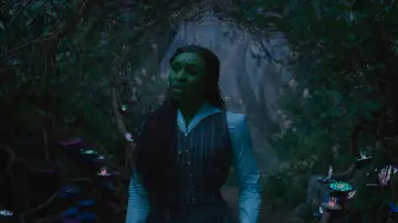 Backdrop to the movie "Wicked" #529845