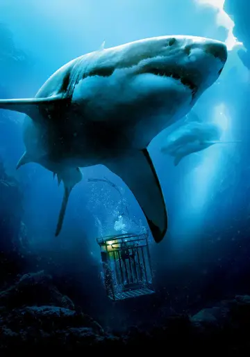 Poster to the movie "47 Meters Down" #865648