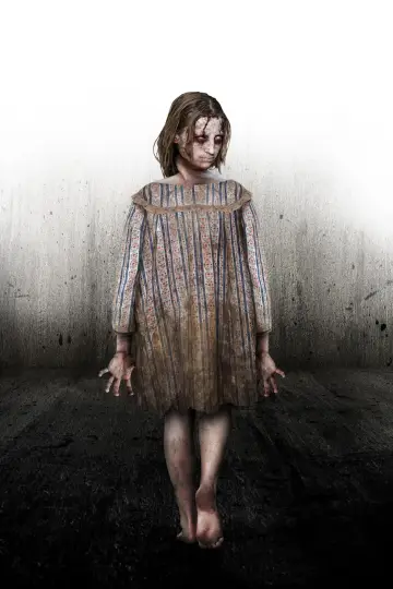 Poster to the movie "Ghosthunters" #702564