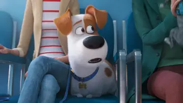 Backdrop to the movie "The Secret Life of Pets 2" #250180