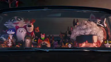Backdrop to the movie "The Secret Life of Pets 2" #702054