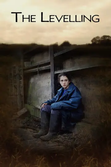 Poster to the movie "The Levelling" #1134598