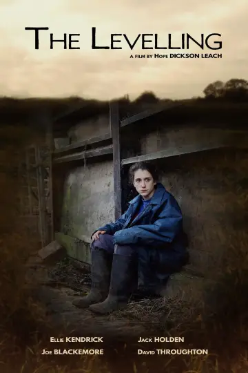 Poster to the movie "The Levelling" #1134602