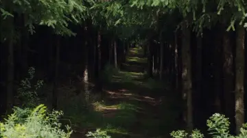 Backdrop to the movie "Ravenous" #1024602
