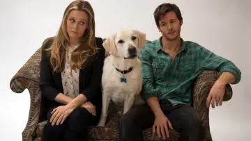 Backdrop to the movie "Who Gets the Dog?" #426243