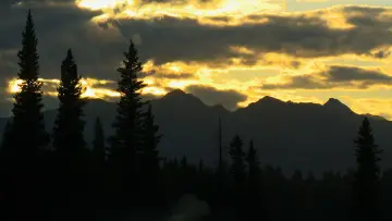 Backdrop to the movie "Before the Flood" #1033077