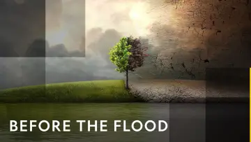 Backdrop to the movie "Before the Flood" #1033078