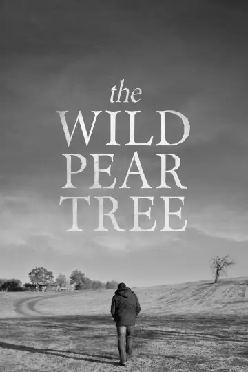Poster to the movie "The Wild Pear Tree" #1093744